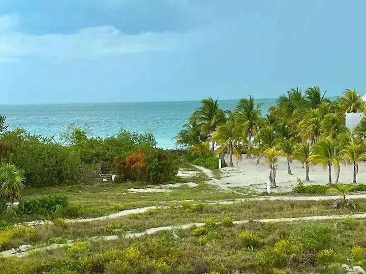 Apartment Holbox Te Quiero Luxury Suites Mexico